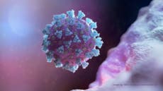 COVID: CDC revela que no ha detectado la nueva cepa en Estados Unidos