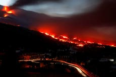 Ingeniosas abejas sobreviven al volcán de las Islas Canarias y salvan sus colmenas