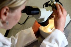 La tasa de mortalidad por cáncer disminuyó un 30 por ciento en la última década