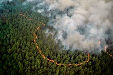 Lluvia ayuda a controlar gran incendio forestal en Francia