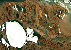 Investigación revela que la crisis climática podría liberar “virus zombis” congelados en el permafrost