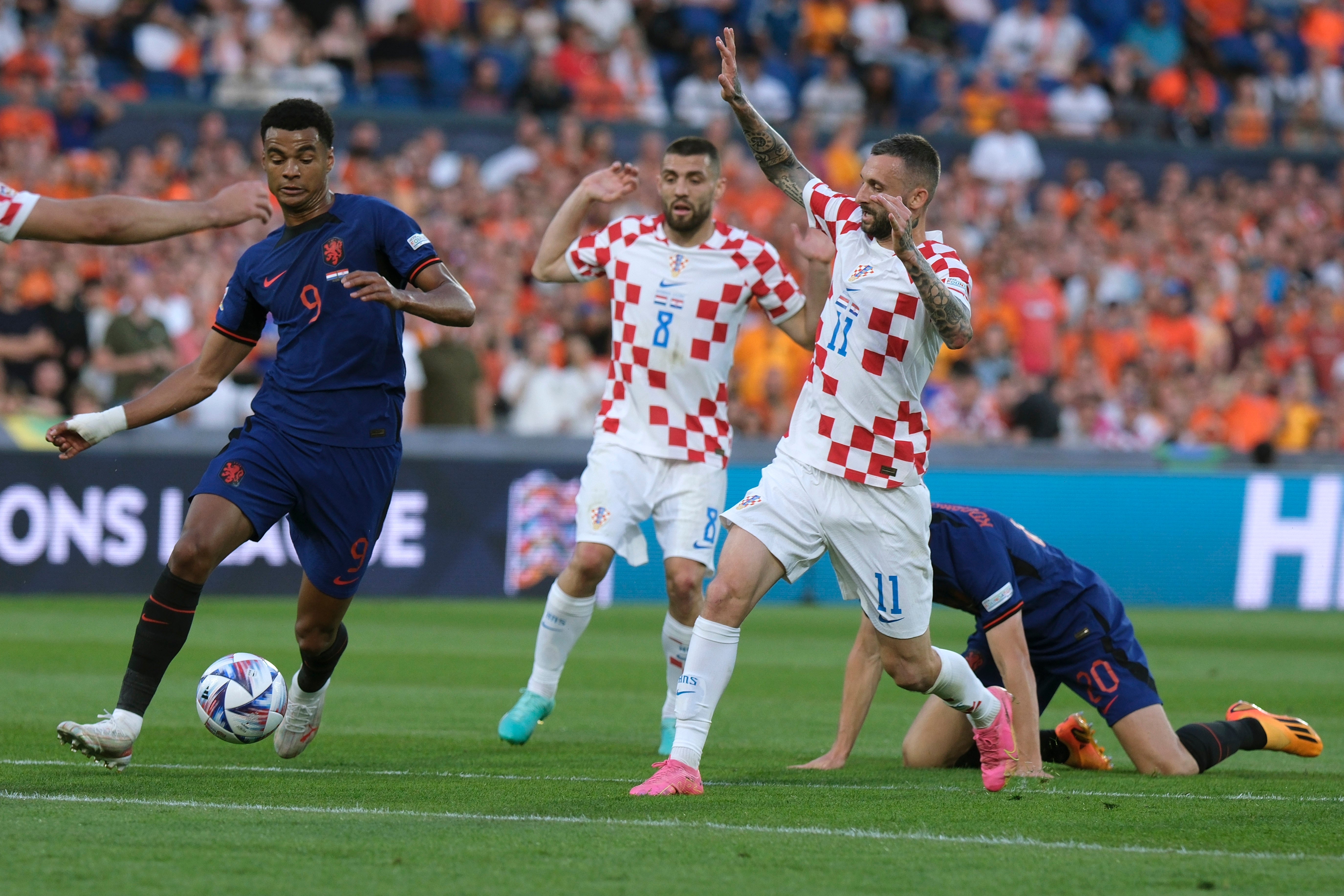 MARCELO BROZOVIC