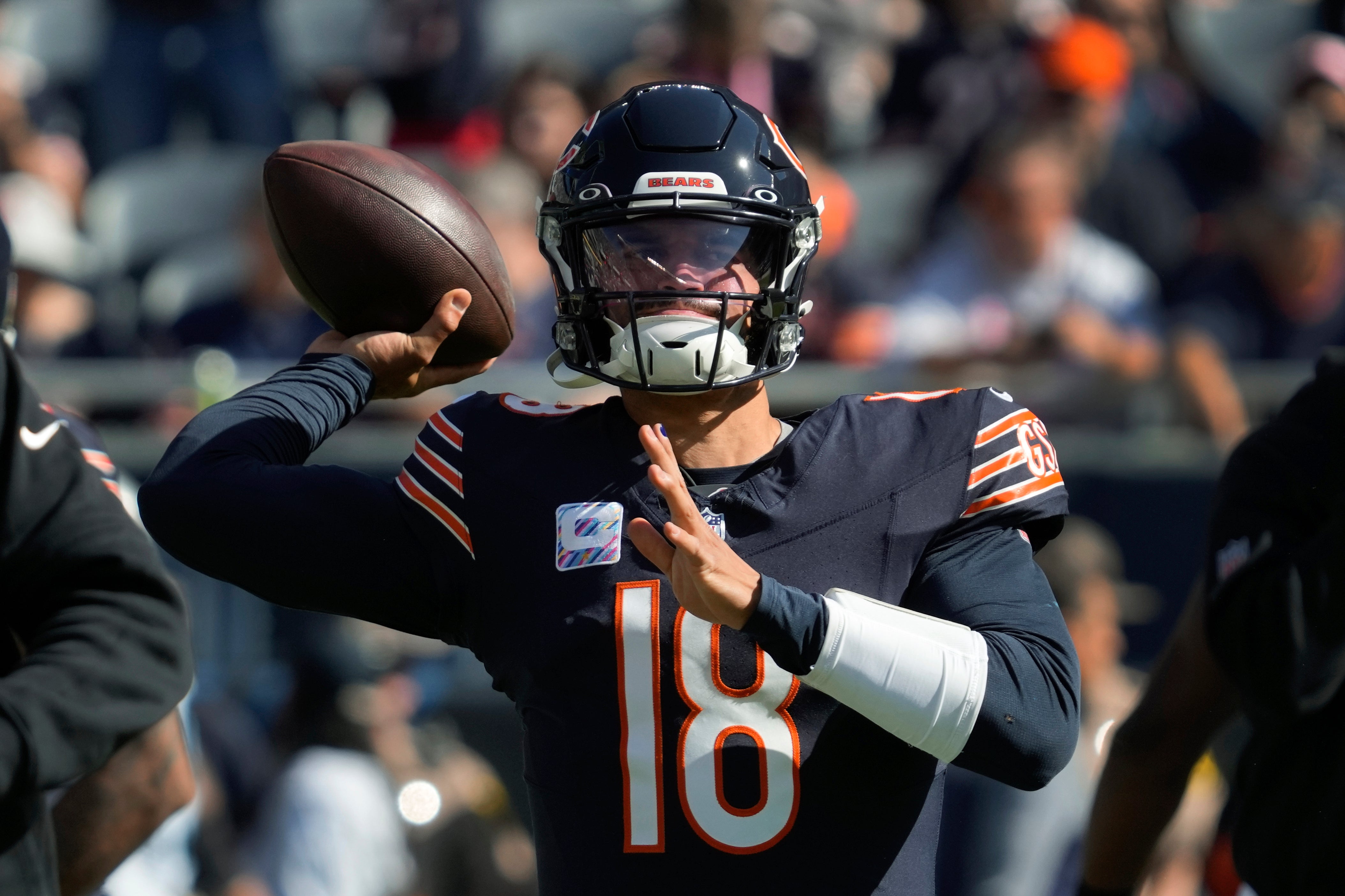 BEARS-LONDRES