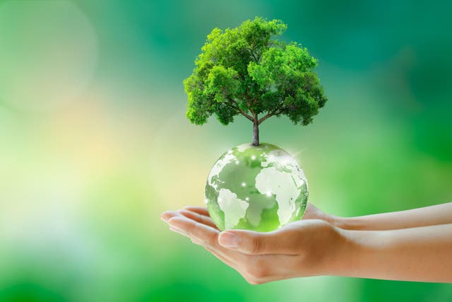 <p>Go green with these eco-friendly solutions for your home (Alamy/PA)</p>