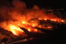 Justicia brasileña ordena al gobierno confiscar tierras cuya deforestación ilegal ha sido comprobada
