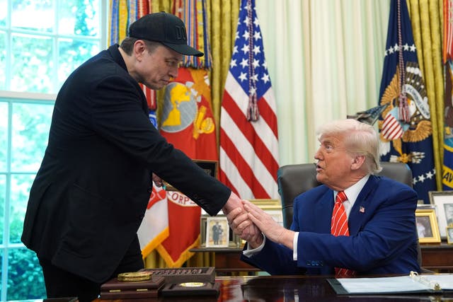<p>Elon Musk aparece junto al presidente de EE. UU., Donald Trump, en el Despacho Oval de la Casa Blanca, en Washington</p>